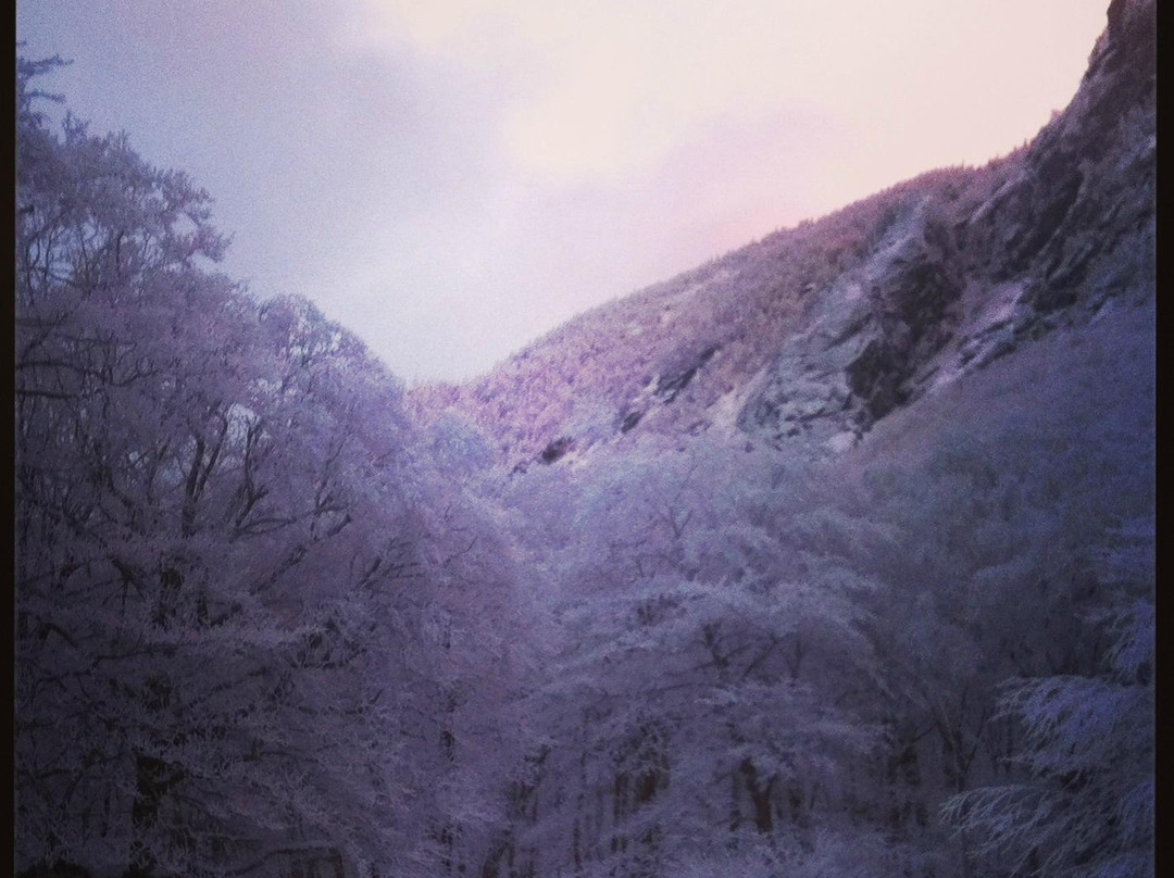 Green Mountain Snowmobile Adventures-Jeffersonville必去景点
