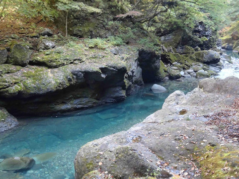 Ryushun Fall-那须盐原市必去景点