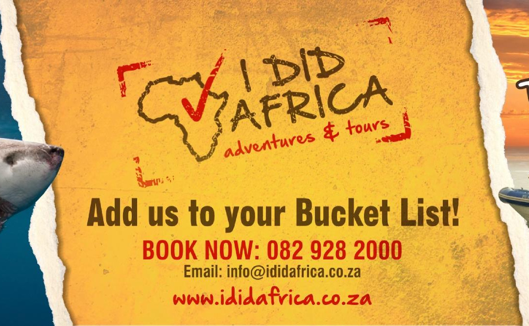 White Shark Safaris-干斯拜必去景点