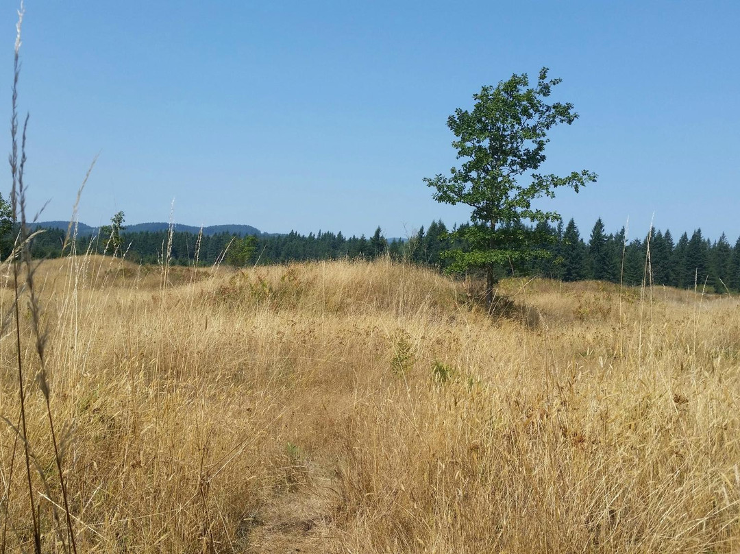 Mima Mounds Natural Area Preserve-奥林匹亚必去景点