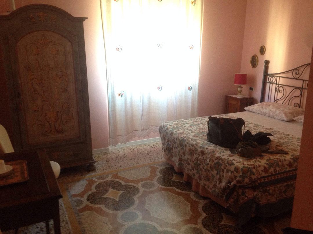 B&B Viola
