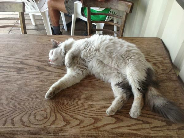 Grand Teton Brewing-Victor必去景点