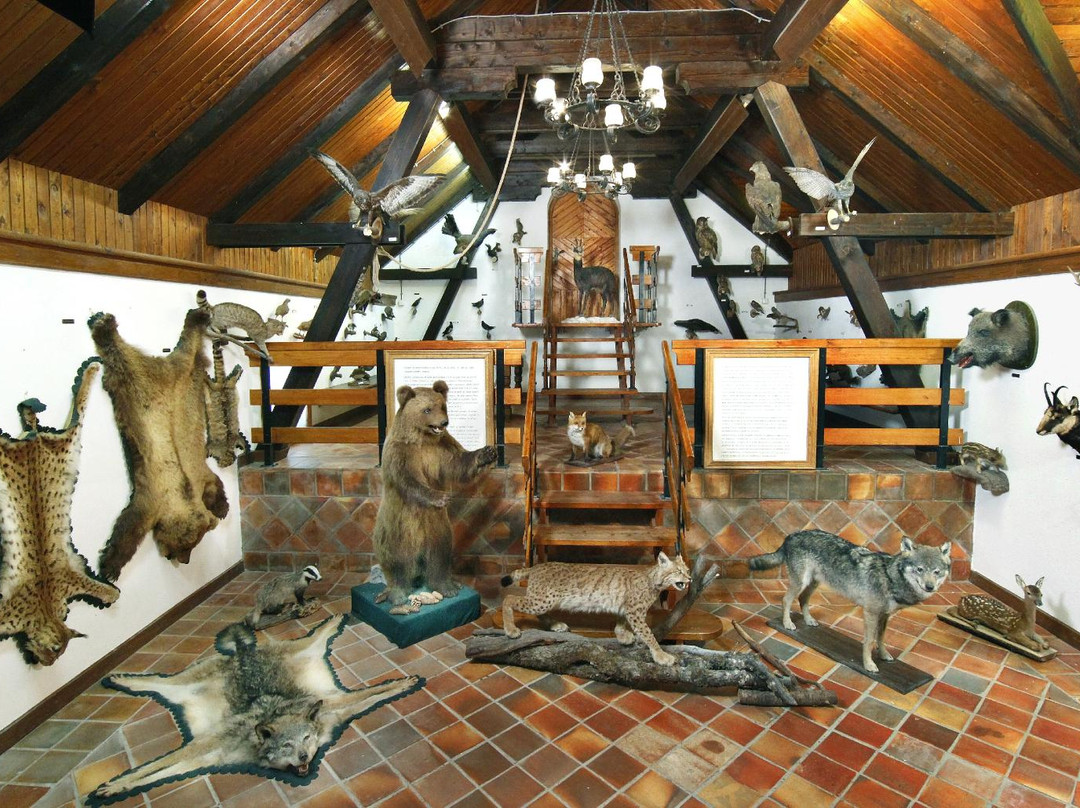 Hunting Collection and Dormouse Museum景点图片