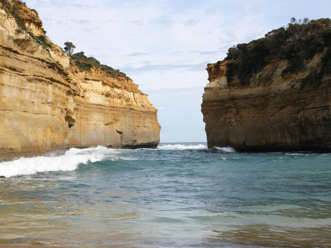 Natural Treasures Tour - Day Tours-New Gisborne必去景点