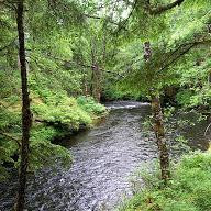 Tongass National Forest-凯奇坎必去景点