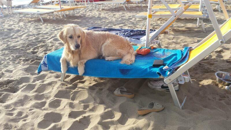 Dog Beach San Vincenzo景点图片
