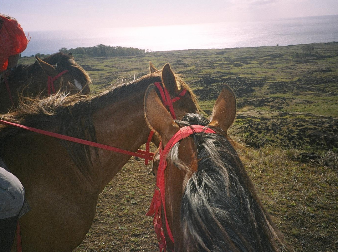 Maunga Terevaka-复活节岛必去景点