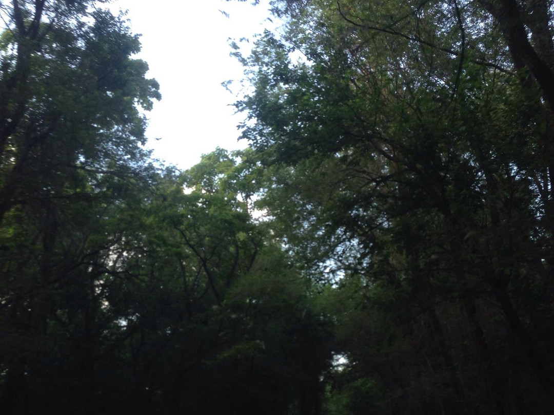 Fort Cobb State Park景点图片