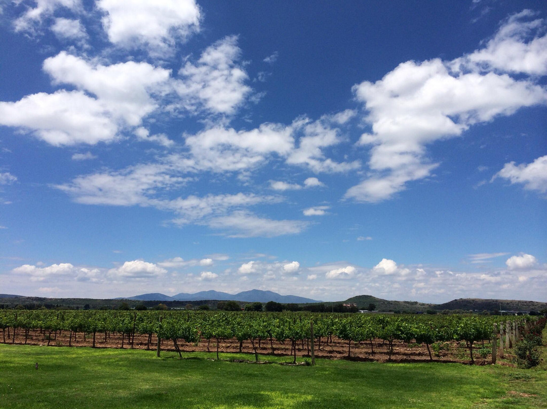 Vinedos La Redonda-Ezequiel Montes必去景点