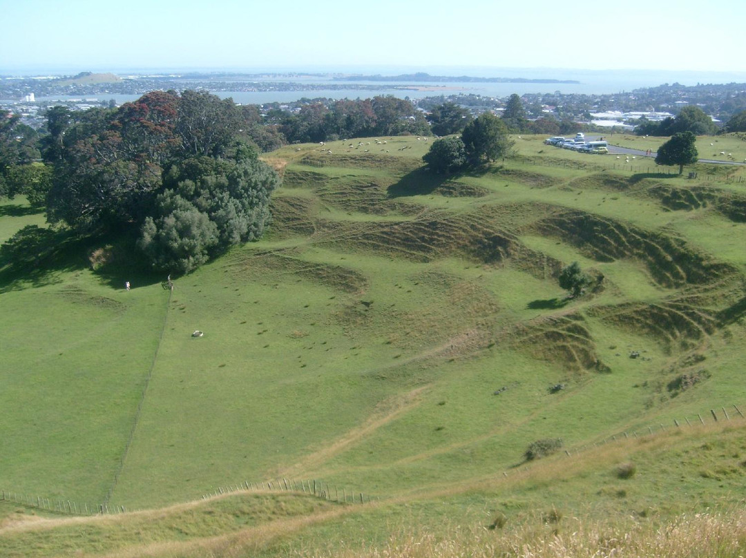 独树山-奥克兰中心地区必去景点