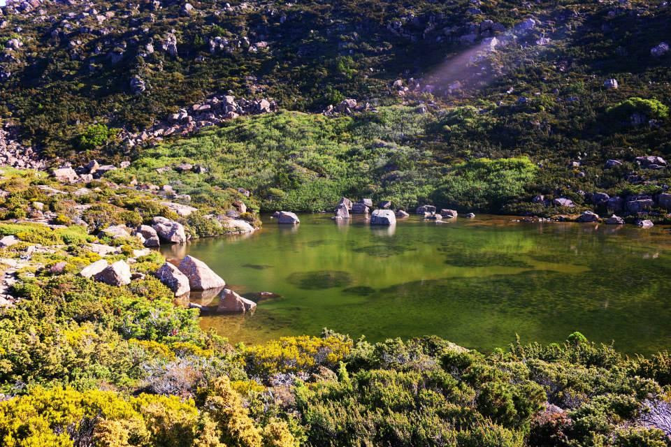 Tarn Shelf景点图片