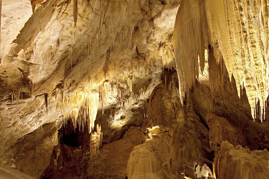 Hastings Caves and Thermal Springs景点图片