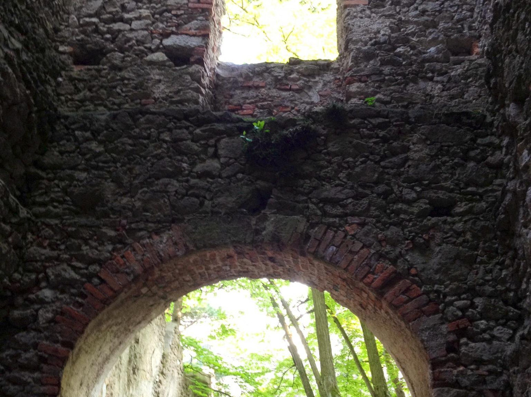 Burgruine Rauhenstein Castle-巴敦必去景点