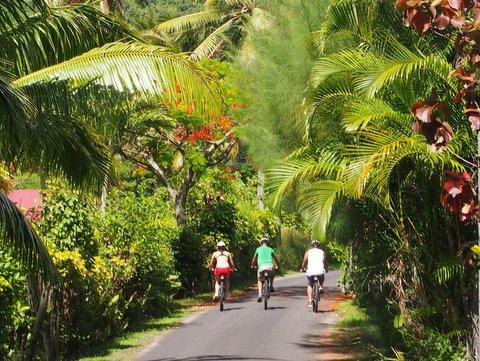 Storytellers Eco Cycle Tours-拉罗汤加必去景点