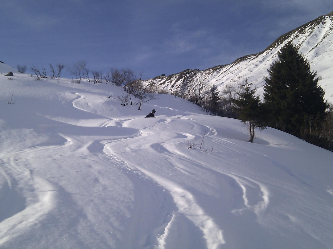 Onnion旅游攻略图片