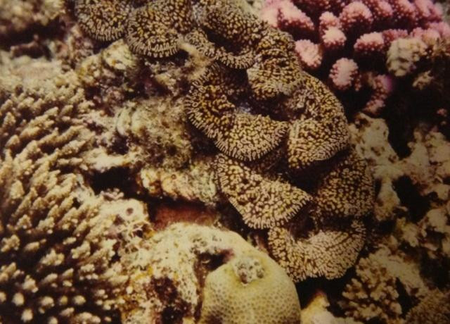 Binangculan Bay-爱妮岛必去景点