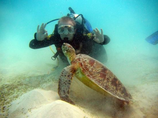 天堂礁浮潜之旅-凯恩斯必去景点