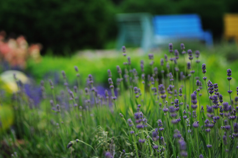 北京云峰山童话树屋主图