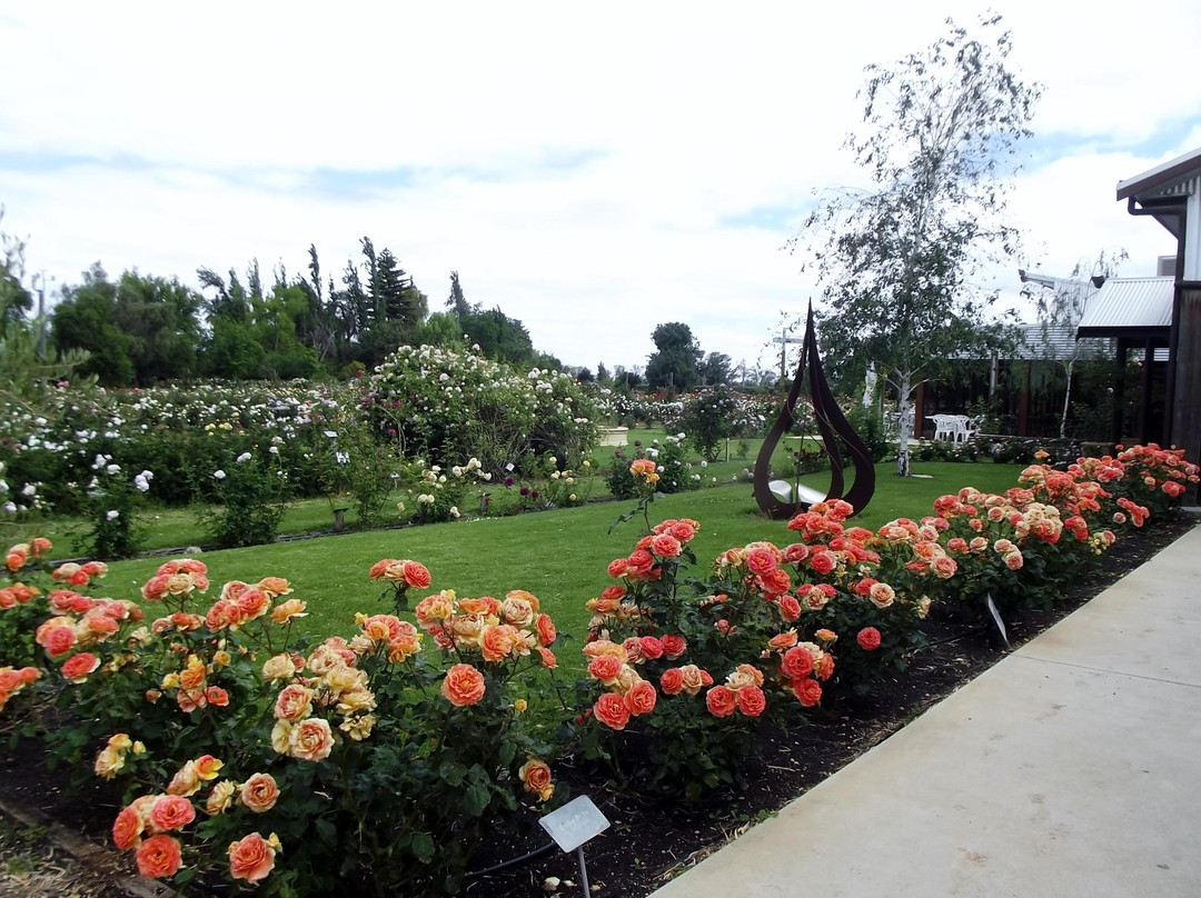 Rustons Distillery-Renmark必去景点