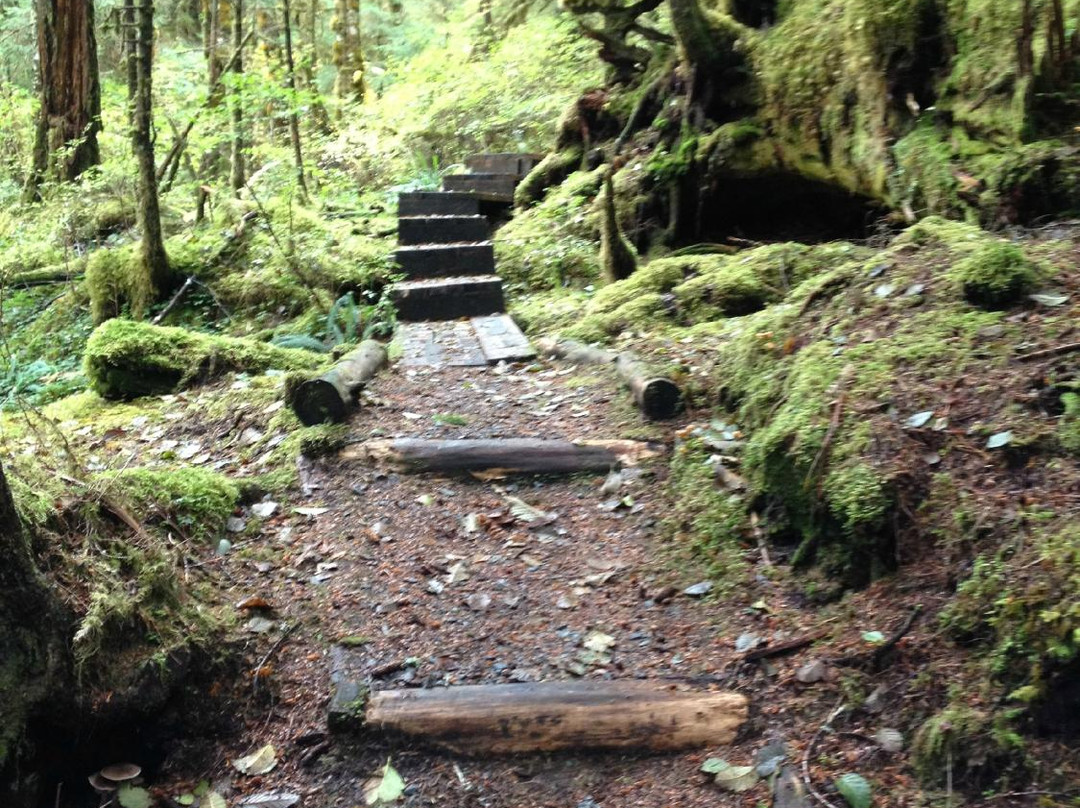 Settlers Cove State Recreational Site-凯奇坎必去景点