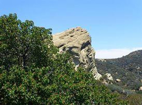 Topanga State Park-洛杉矶必去景点