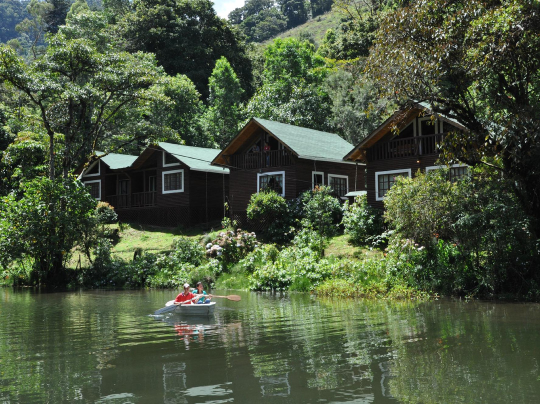 Suenos del Bosque