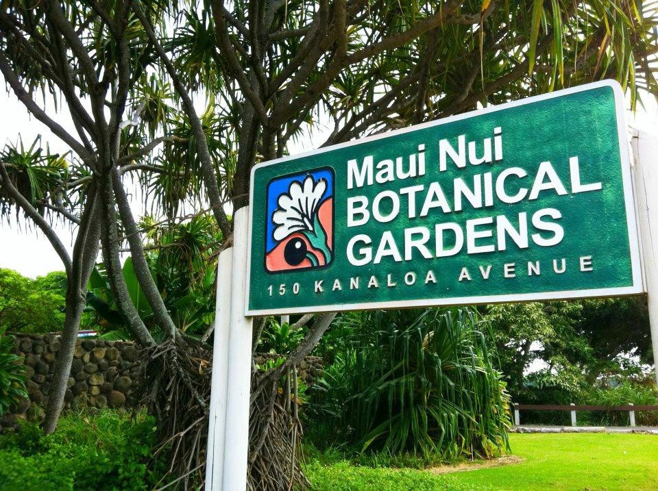Maui Nui Botanical Gardens-卡胡卢伊必去景点
