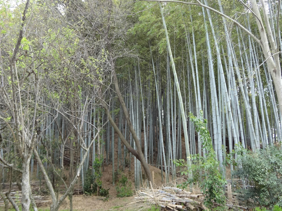 Kutsugawa Kurumazuka, Maruzuka Tombs-城阳市必去景点