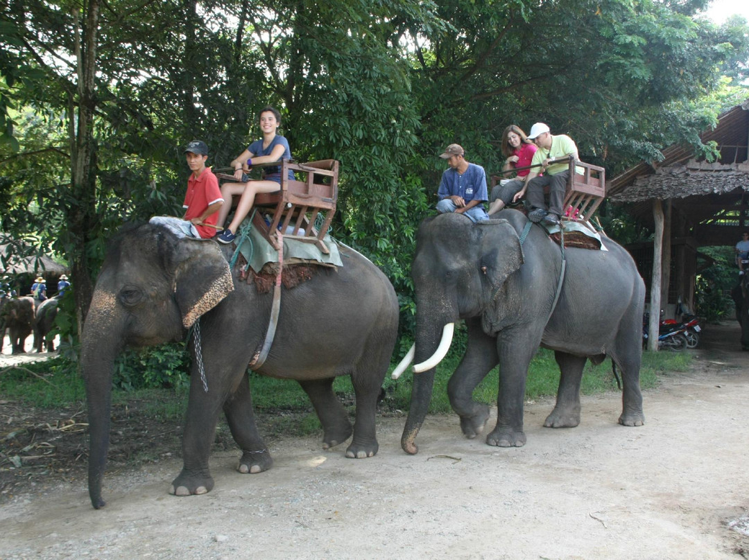 Thai Unique Tour-清迈必去景点