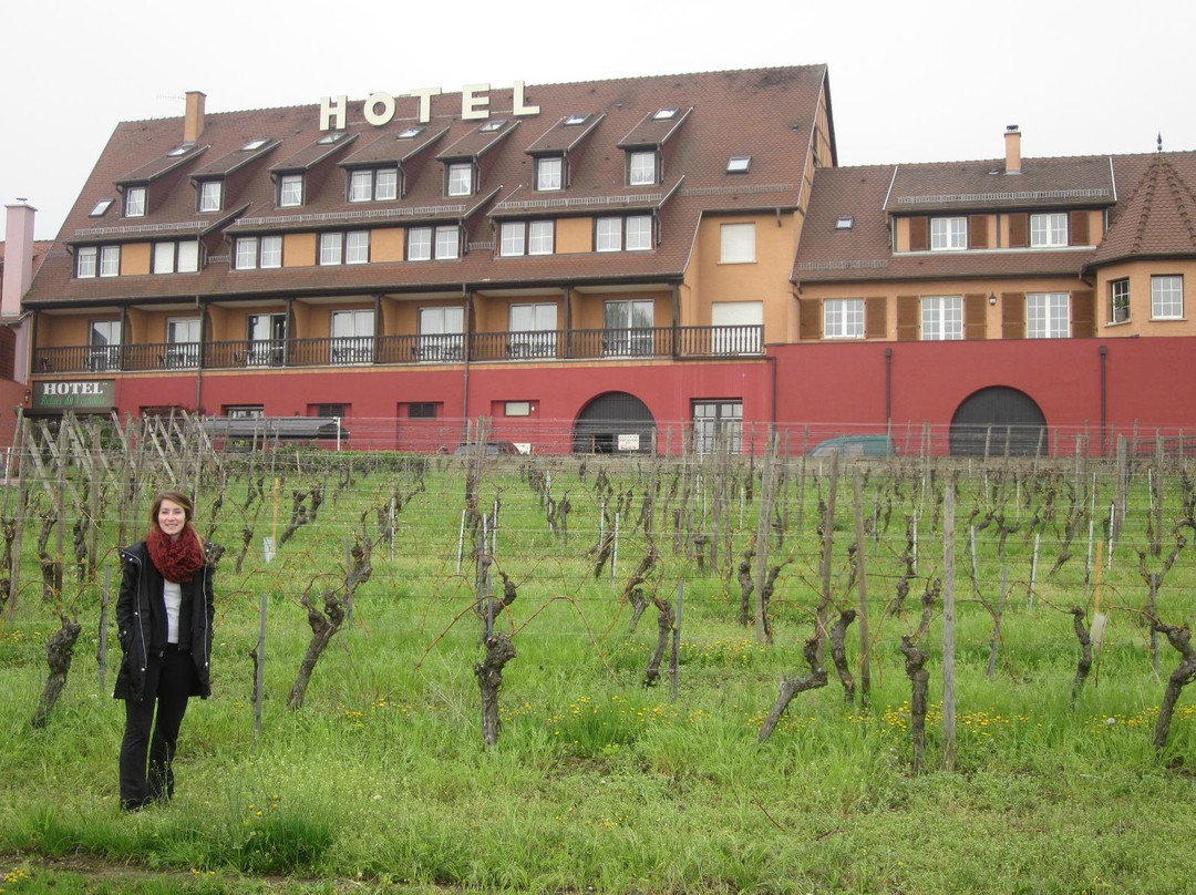 Hotel le Relais du Vignoble主图