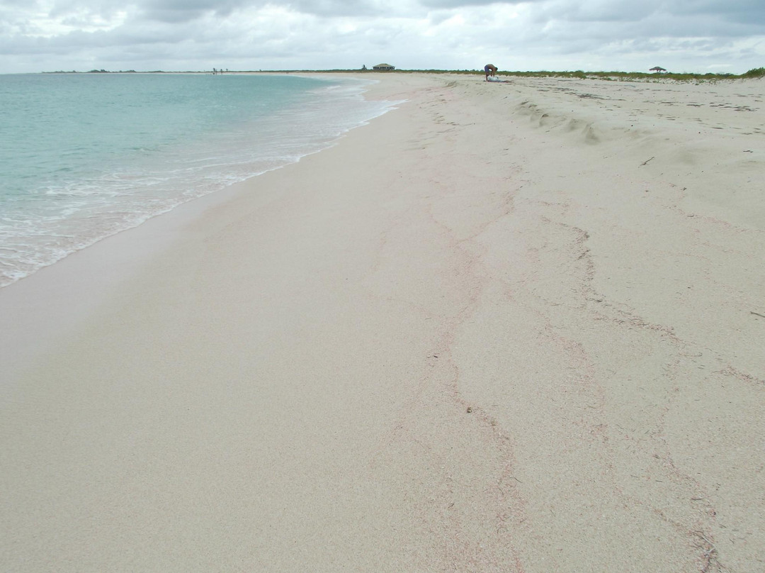 Low Bay-巴布达必去景点