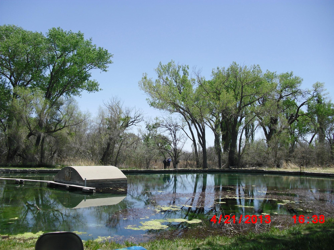 Rattlesnake Springs-卡尔斯巴德洞穴国家公园必去景点