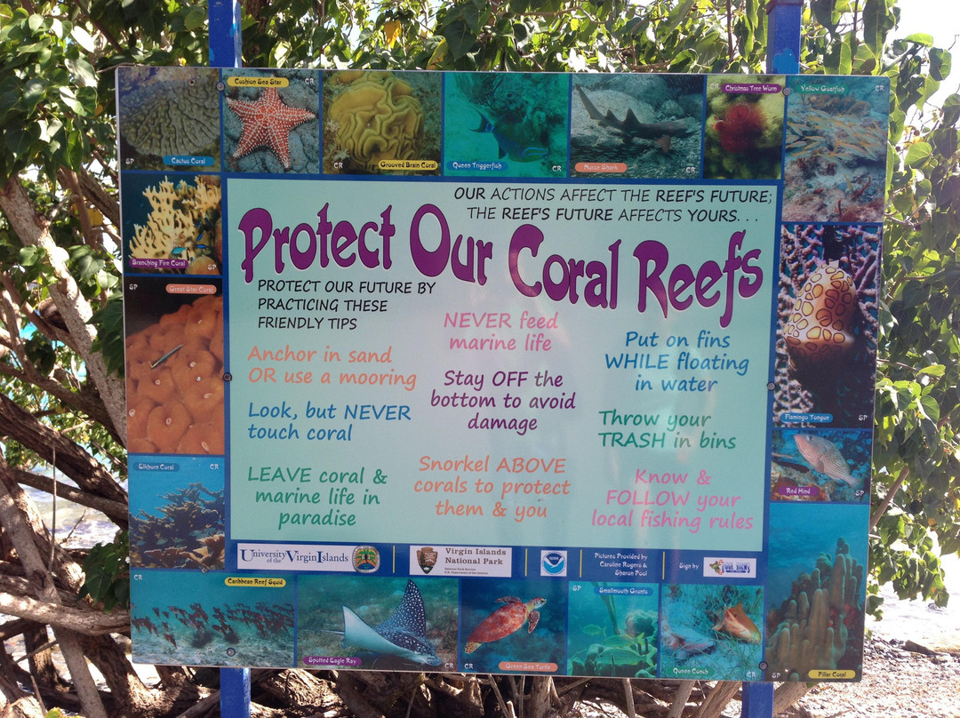 Leinster Bay-维尔京群岛国家公园必去景点