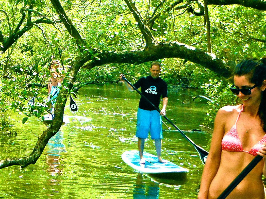 Byron Stand Up Paddle景点图片