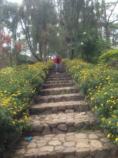 Baguio Botanical Garden-碧瑶必去景点