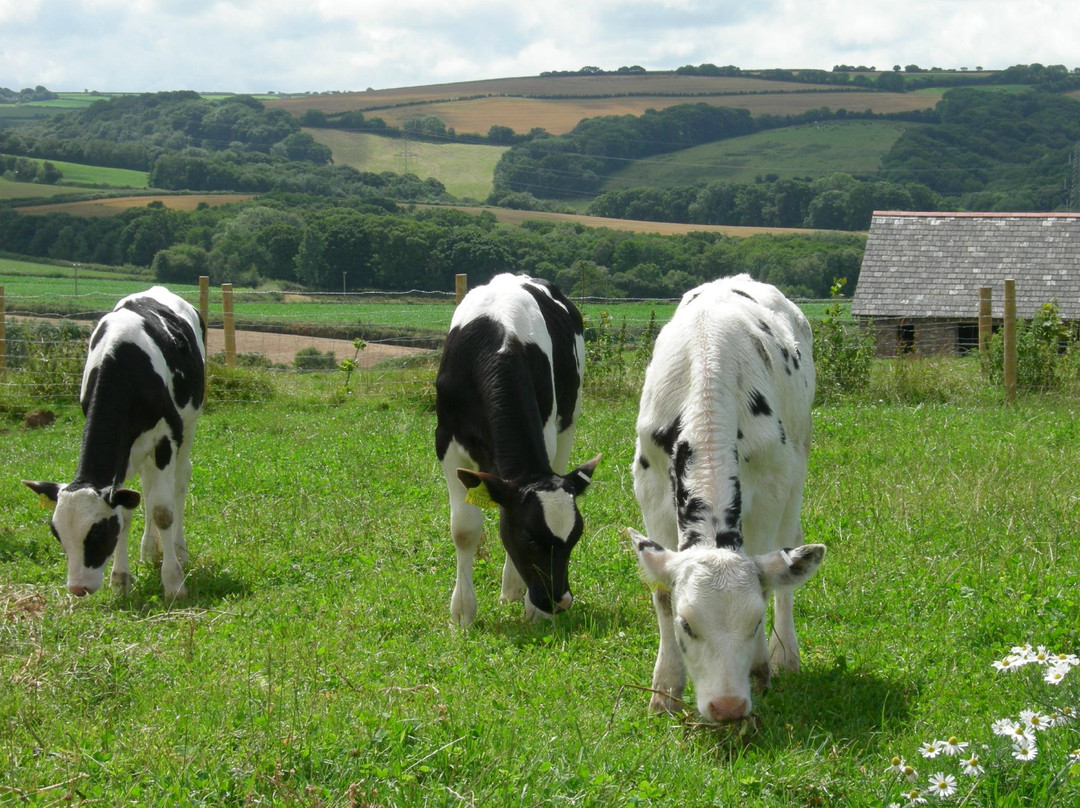 Orchard Farm Cottage Holidays