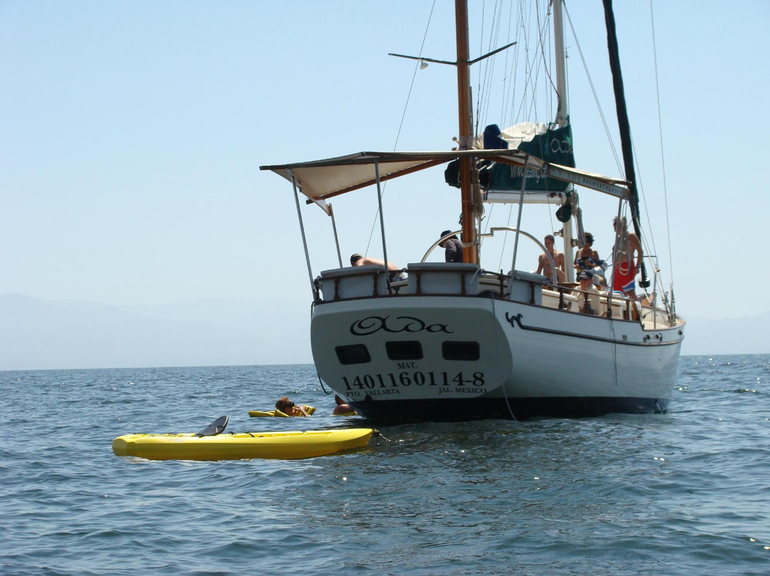 Adasailing Puerto Vallarta-瓦拉塔港必去景点