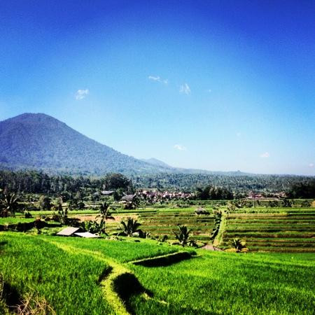 Bali Fantastic Tour-登巴萨必去景点