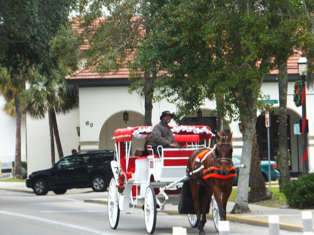 Florida Fun Shuttle - Day Tours-奥兰多必去景点