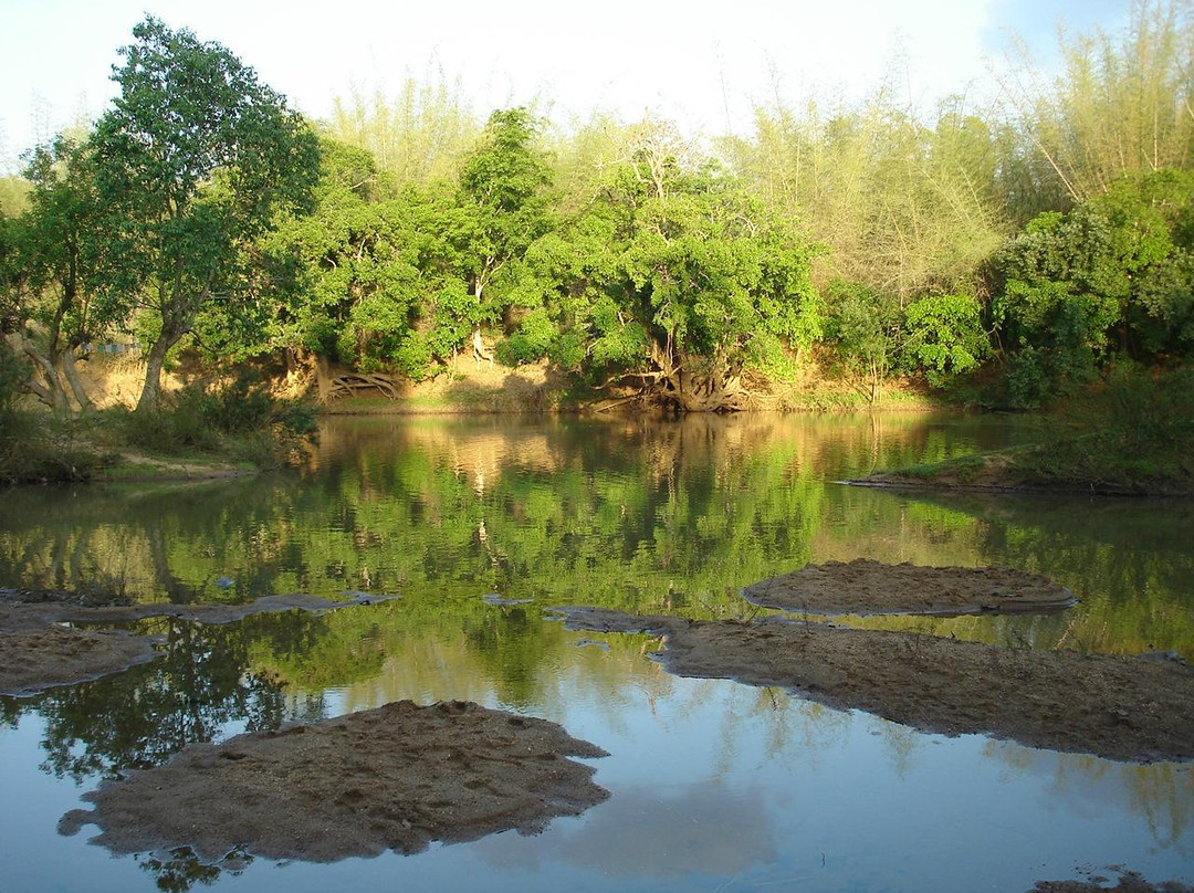 The Last Resort主图