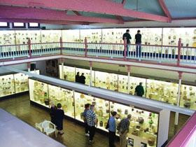 National Museum of Australian Pottery景点图片