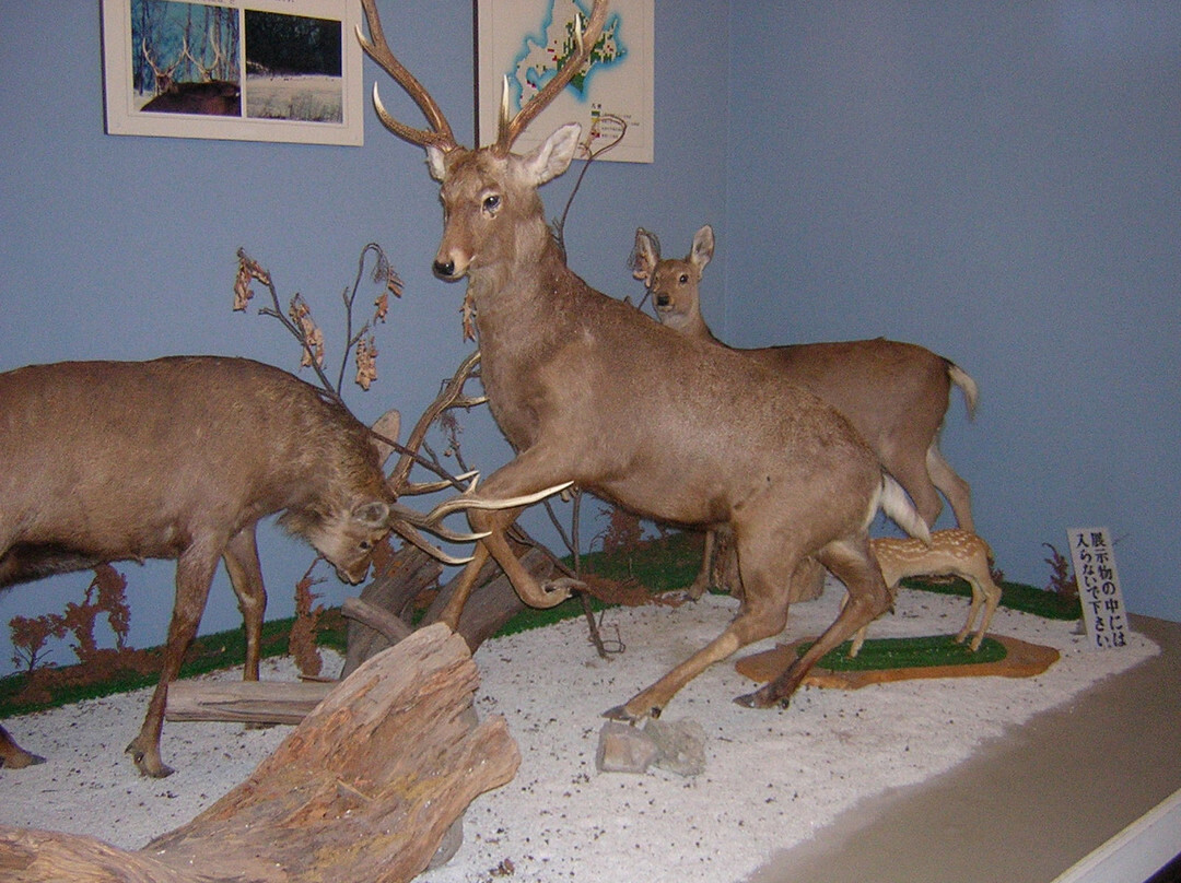 Toyako Forest Museum-洞爷湖町必去景点