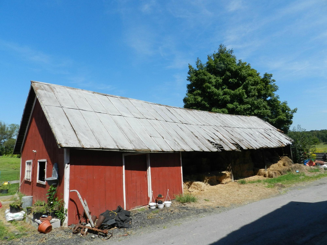 Pochuck Valley Farms景点图片