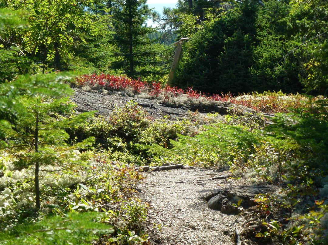 Auberge du Lièvre主图