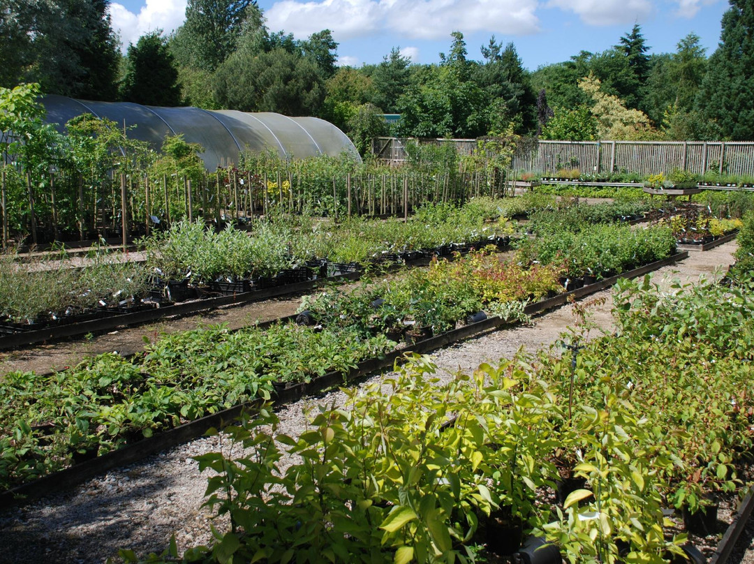Bluebell Arboretum and Nursery-Smisby必去景点
