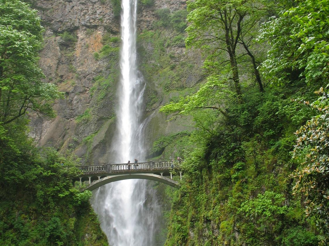 俄勒冈旅游攻略图片