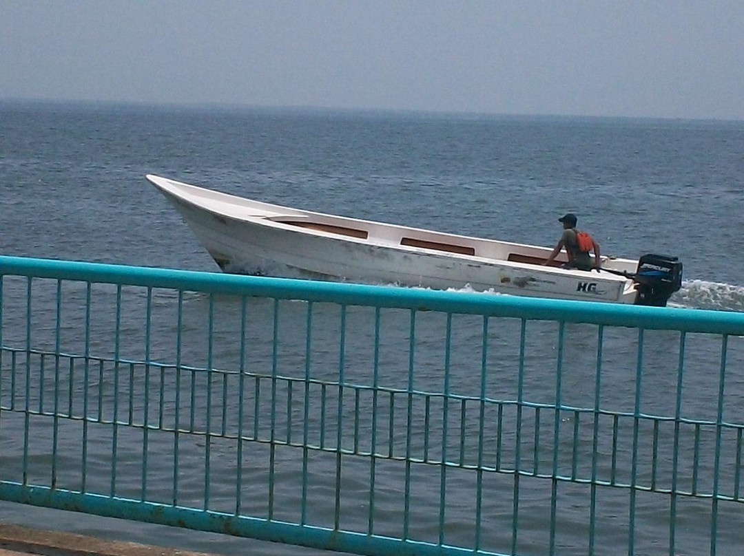 La vereda del lago Maracaibo景点图片