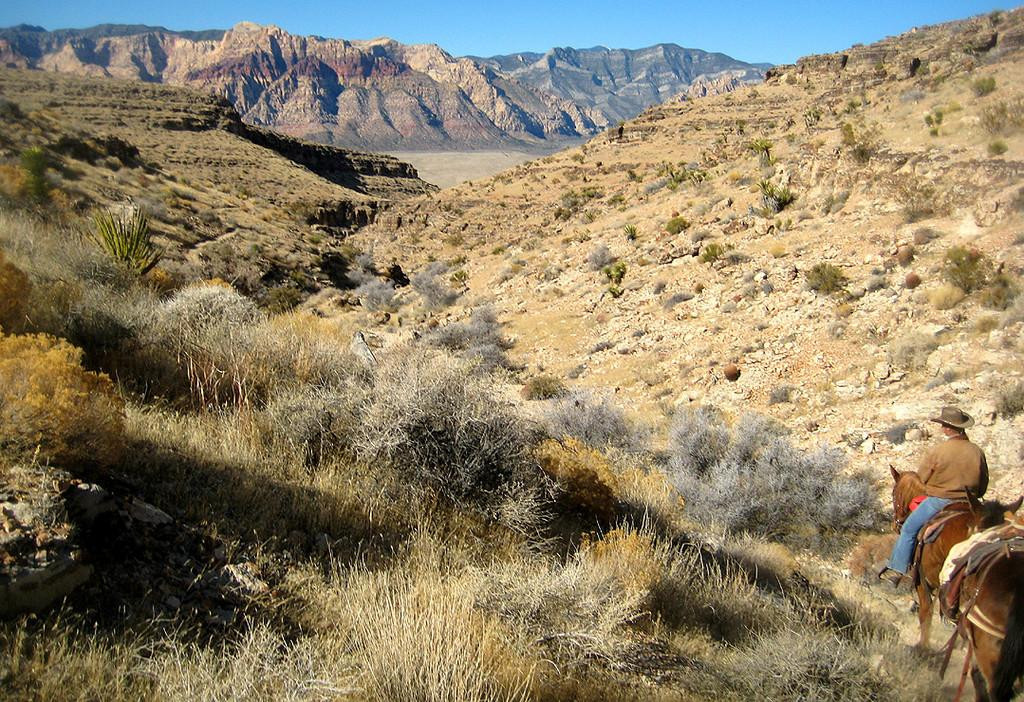 牛仔骑马游-拉斯维加斯必去景点