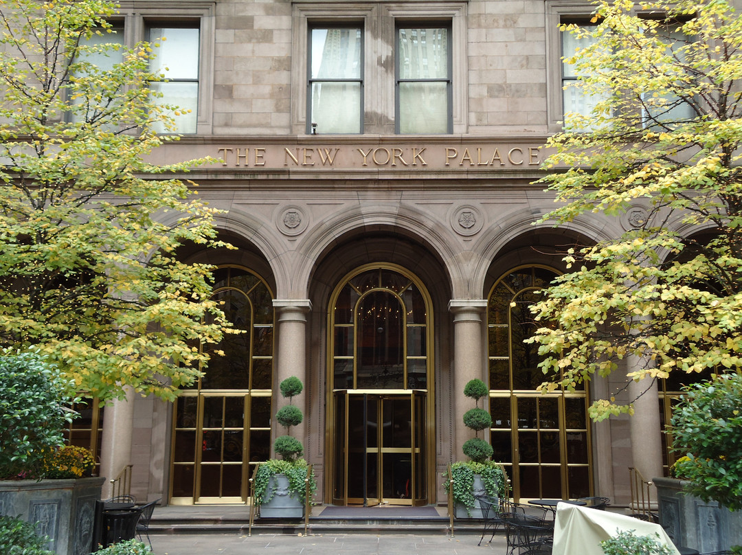 On Location Tours-纽约市必去景点