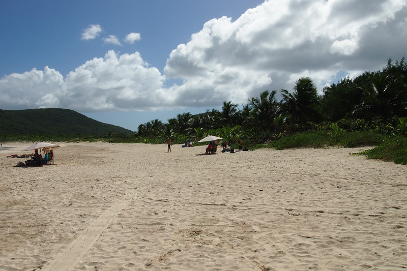 Kayaking Puerto Rico-库莱布拉岛必去景点